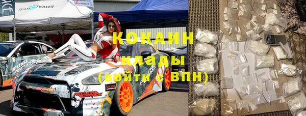 соль ск Абаза